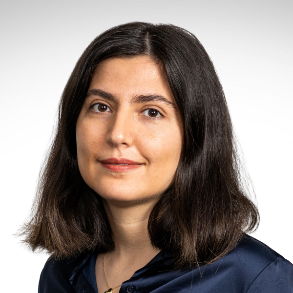Niloufar Gharoon Dastjerdi